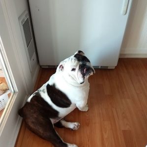 Meet your Posher, Iona